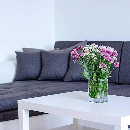 Panoramic In Old Town * Pozsony